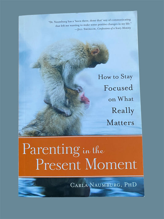 Parenting in the Present Moment