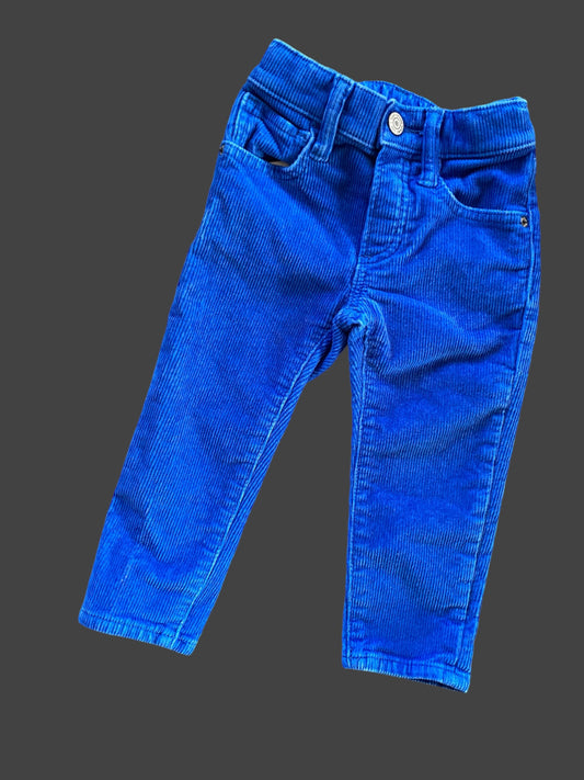 Electric blue cotton corduroy pants 2Y | Gap