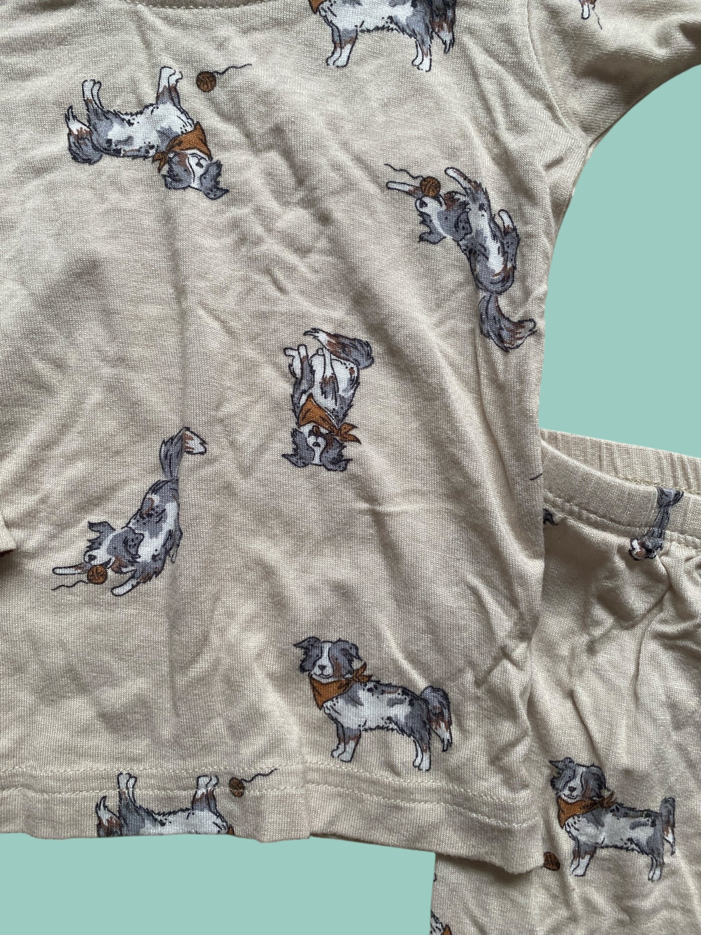 Viscose dog PJ set 12m | Gerber