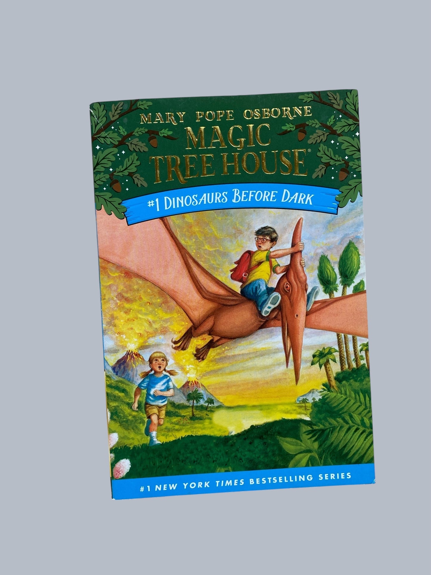 Magic Tree House - various titles