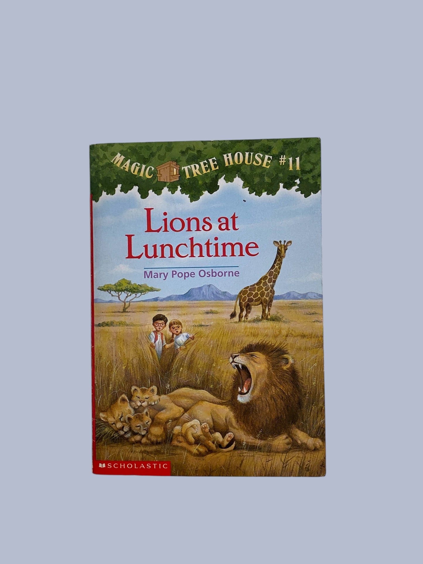 Magic Tree House - various titles