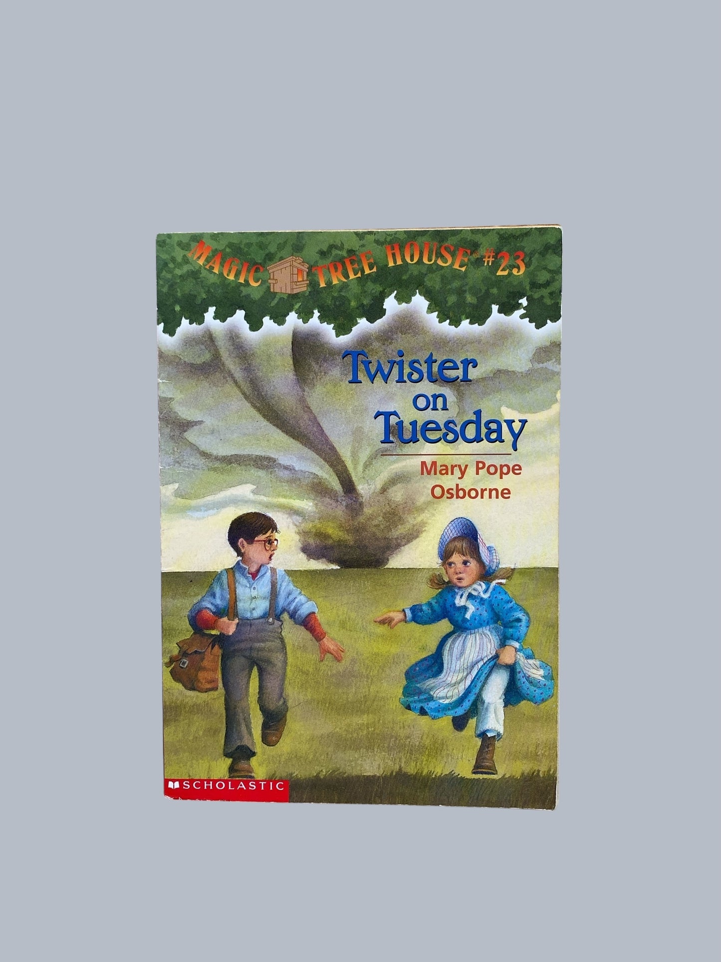 Magic Tree House - various titles