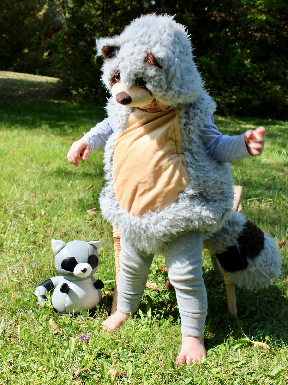 Plush raccoon costume 12-24m | Coco Village