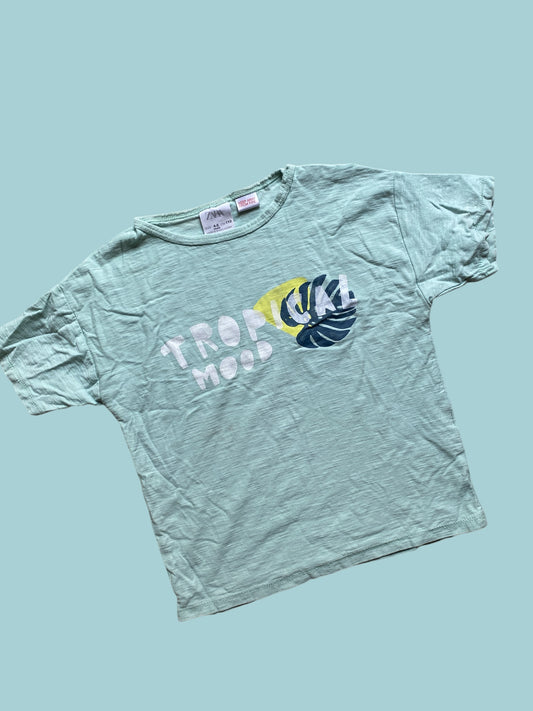 Tropical mood cotton t- shirt 4-5Y | Zara