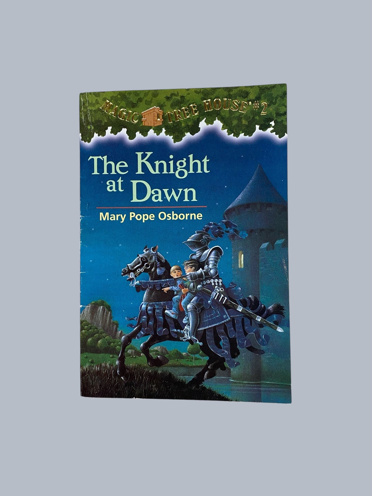 Magic Tree House - various titles