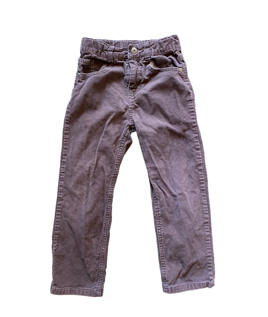 Purple/brown corduroy 5Y | Calvin Klein