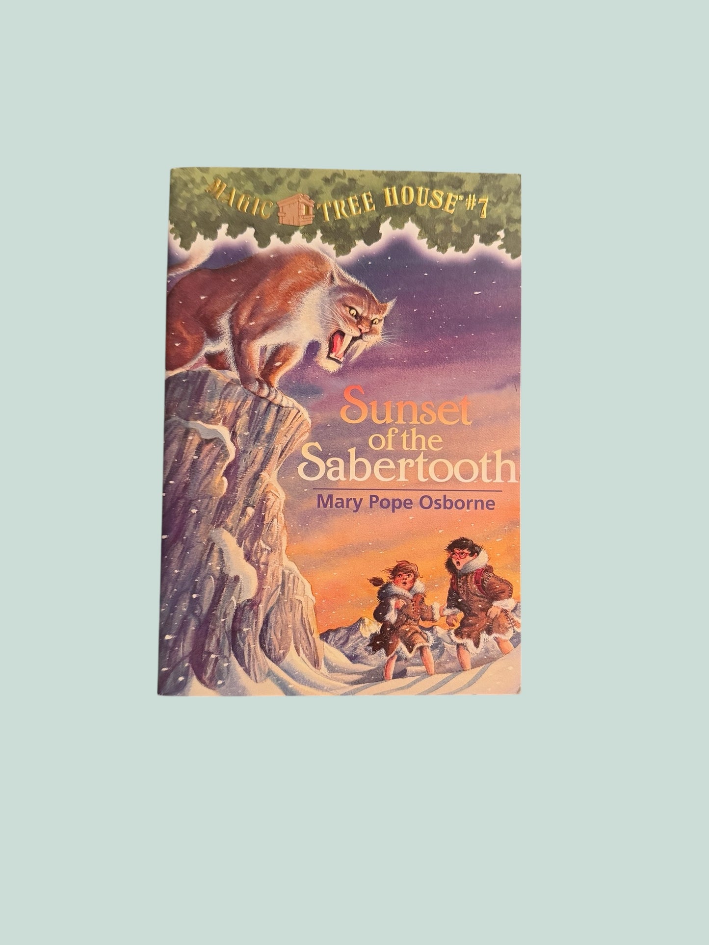 Magic Tree House - various titles