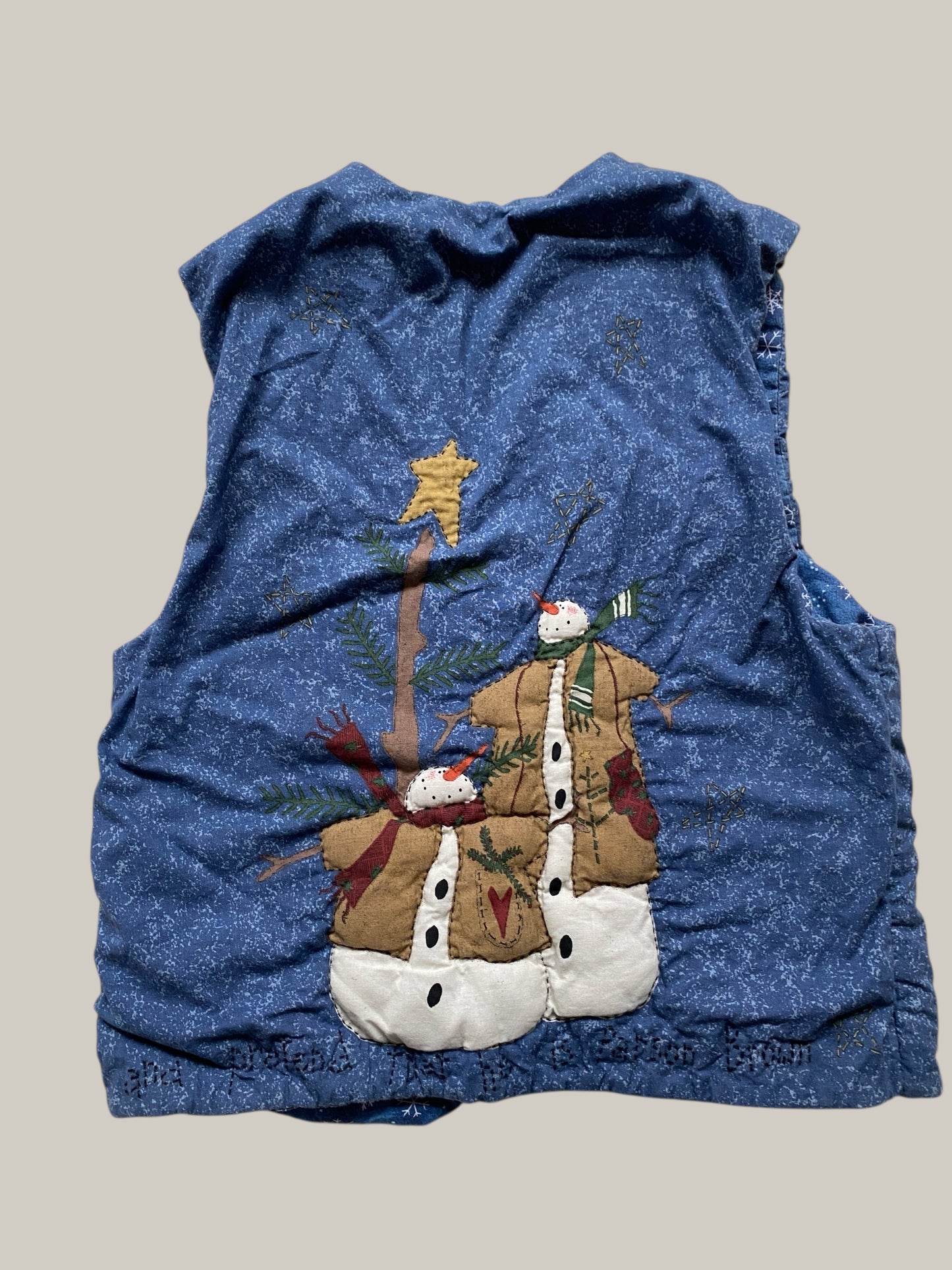 Handmade "In the meadow we can build a snowman" reversible vest big kid/teen