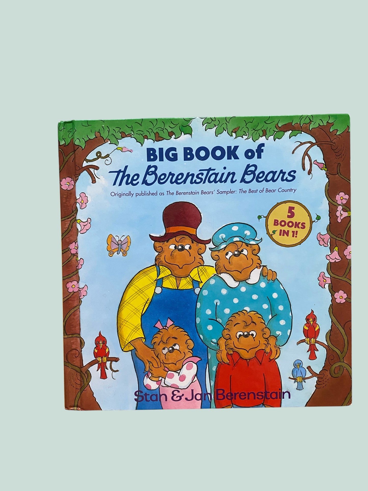 Big Book of the Berenstain Bears - 5 books in 1