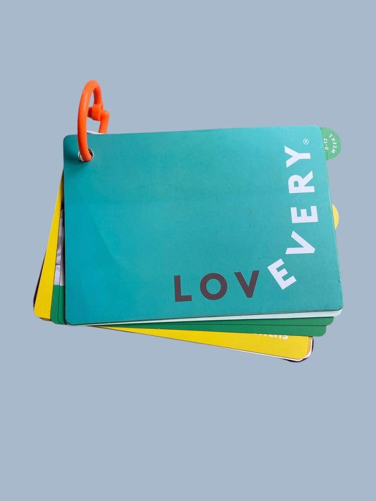 Play gym activity guide 0-12m | Lovevery