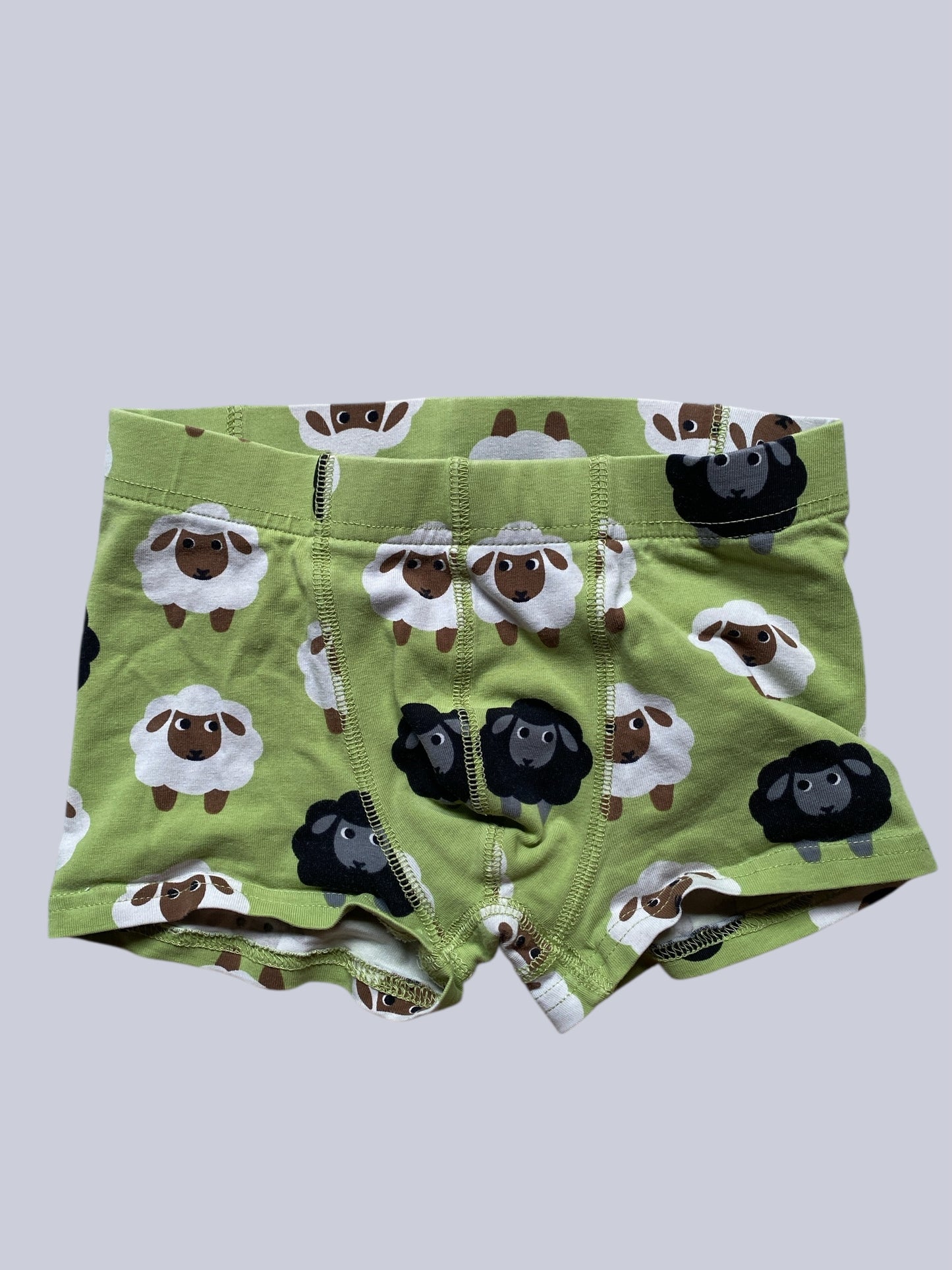 Organic cotton boxer shorts 5-7Y (110-116) | Maxomorra