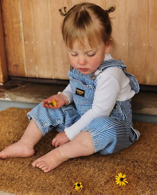 Baby hickory striped cotton overalls 3m | Oshkosh