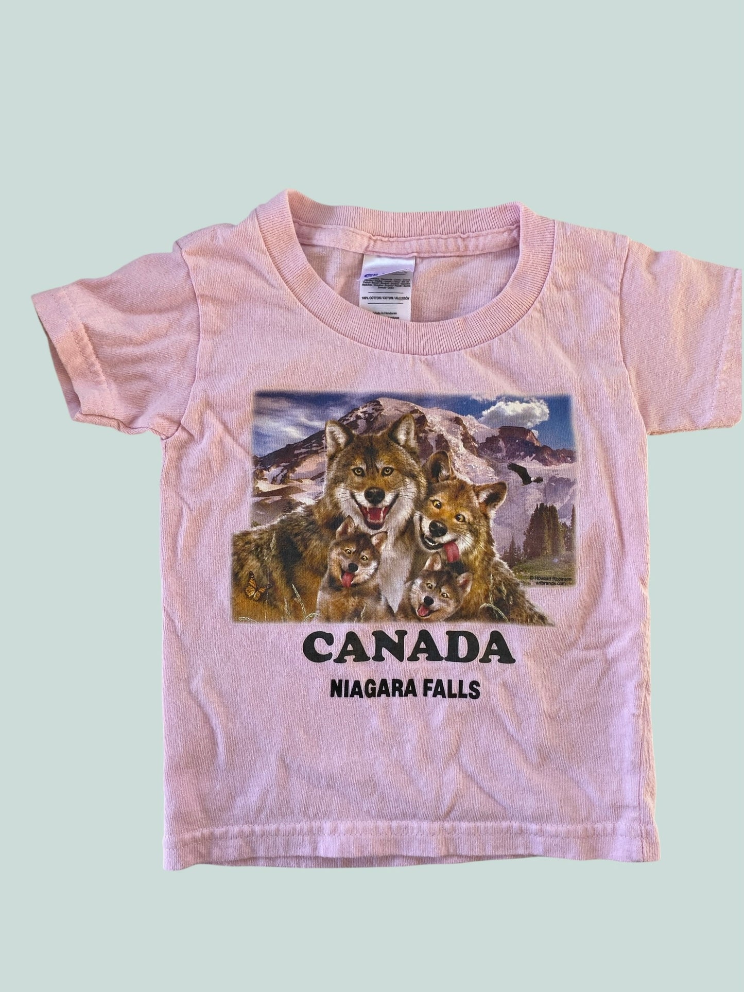 Cotton Niagara Falls t-short 2Y