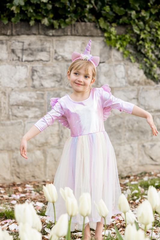 Shimmering dress with wings 5-6Y | Great Pretenders