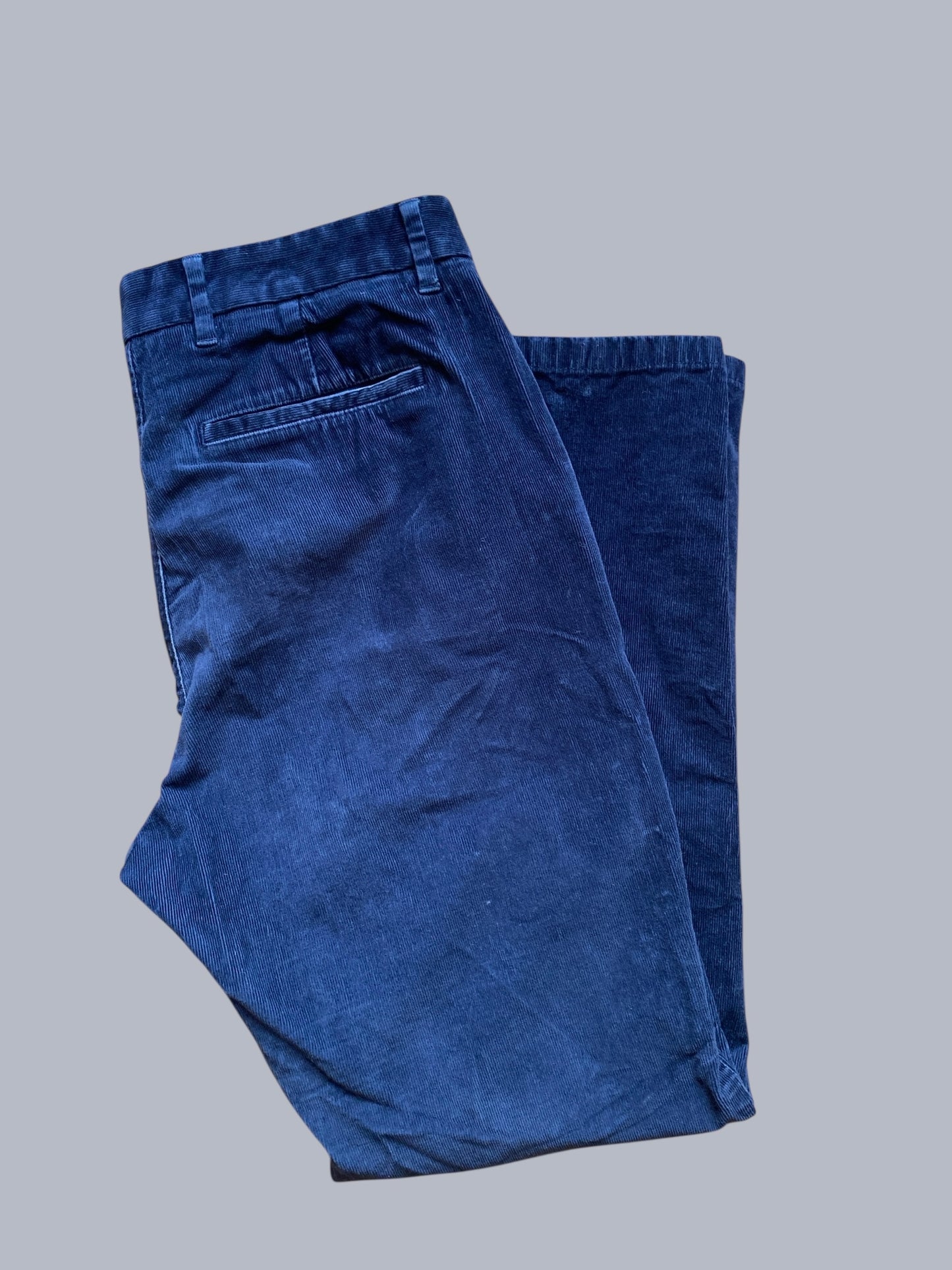 Navy corduroy cotton pants 31x30 | Everlane