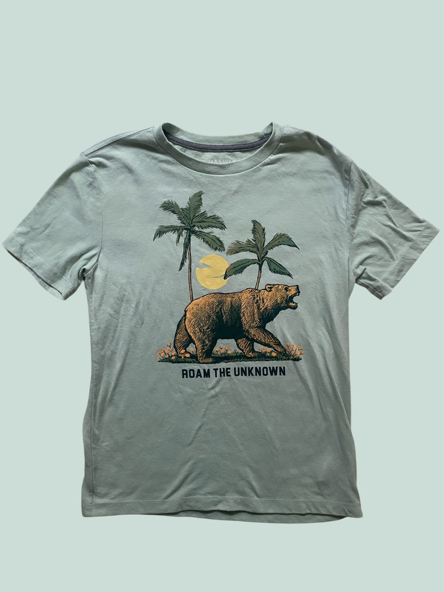 Roam the Unknown t-shirt 10-12Y | Old Navy