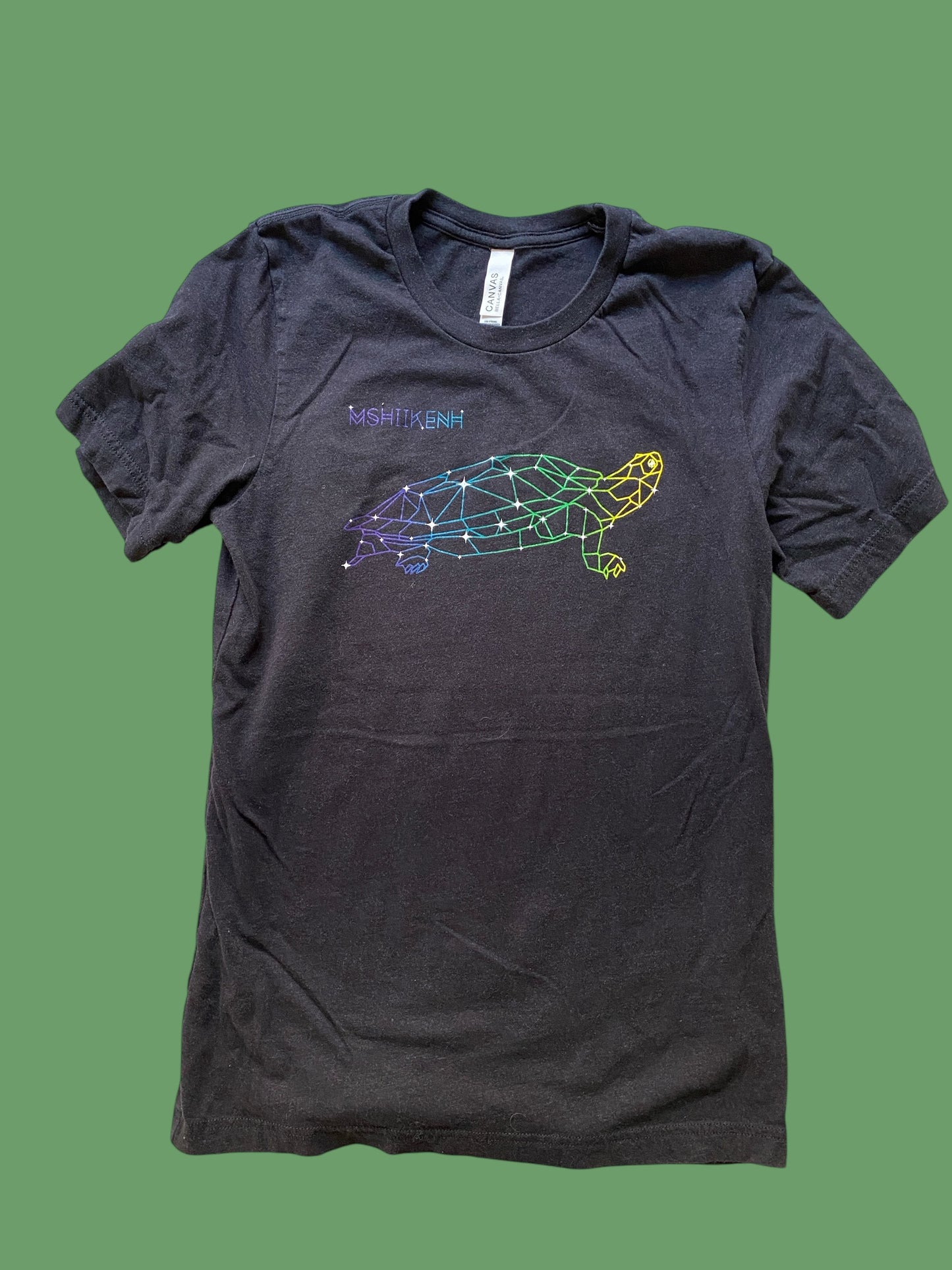 MSHIKENH/TURTLE - Grandfather Teachings t-shirt adult small | Nish Tees