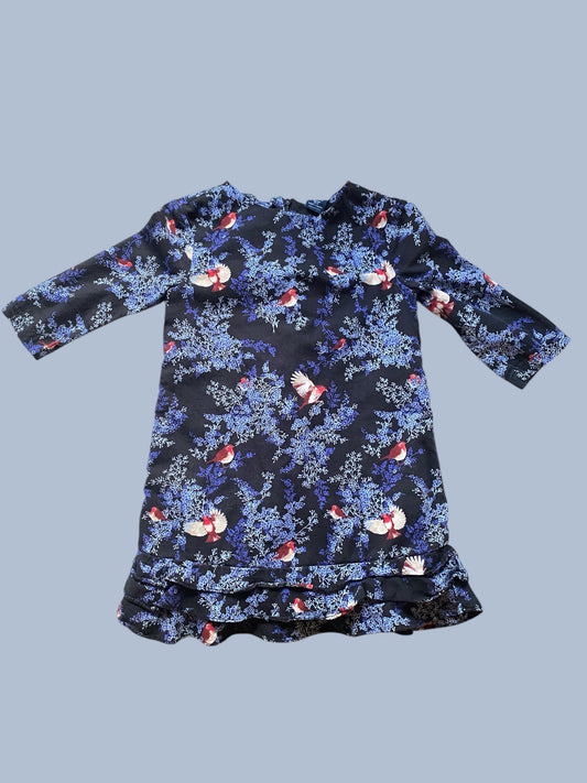 Stunning long sleeve cotton bird dress 4-5Y | Gap