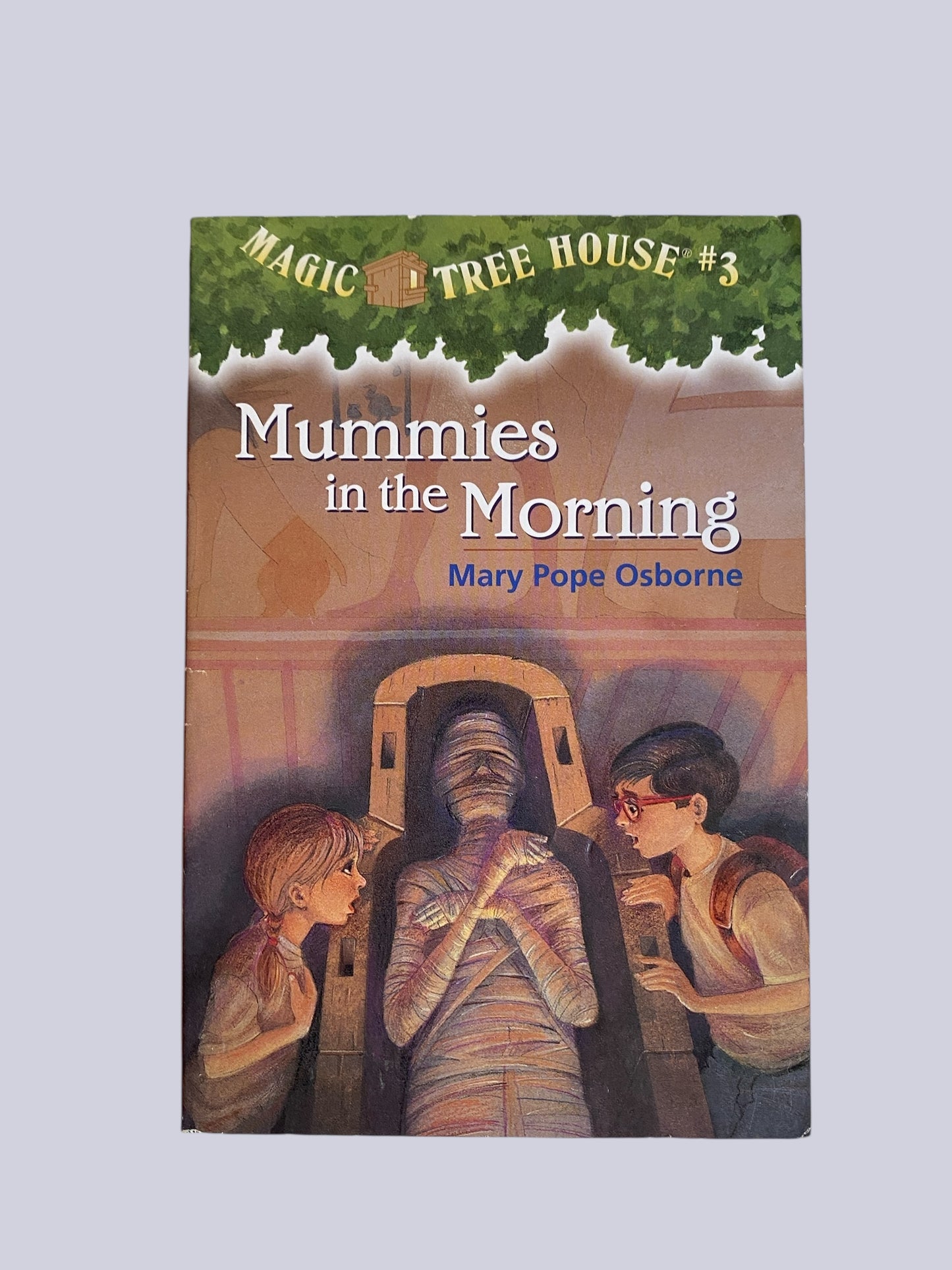 Magic Tree House - various titles