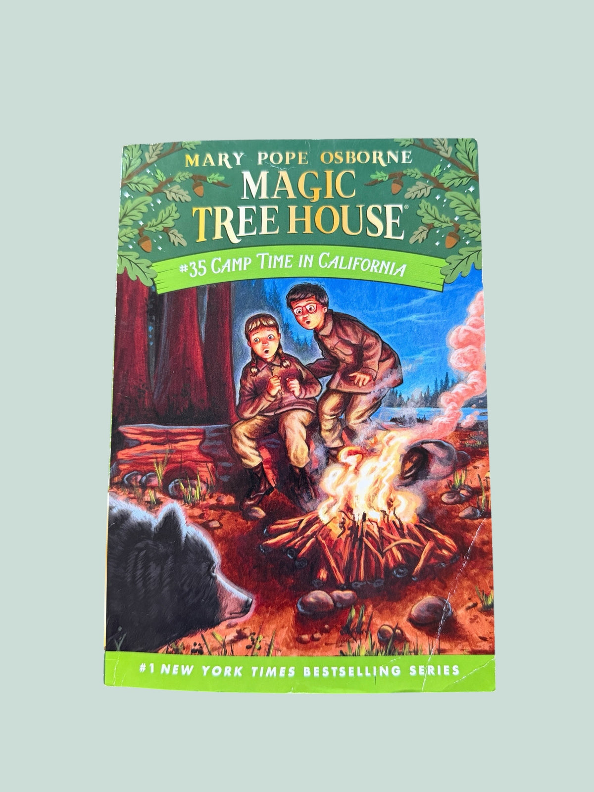 Magic Tree House - various titles