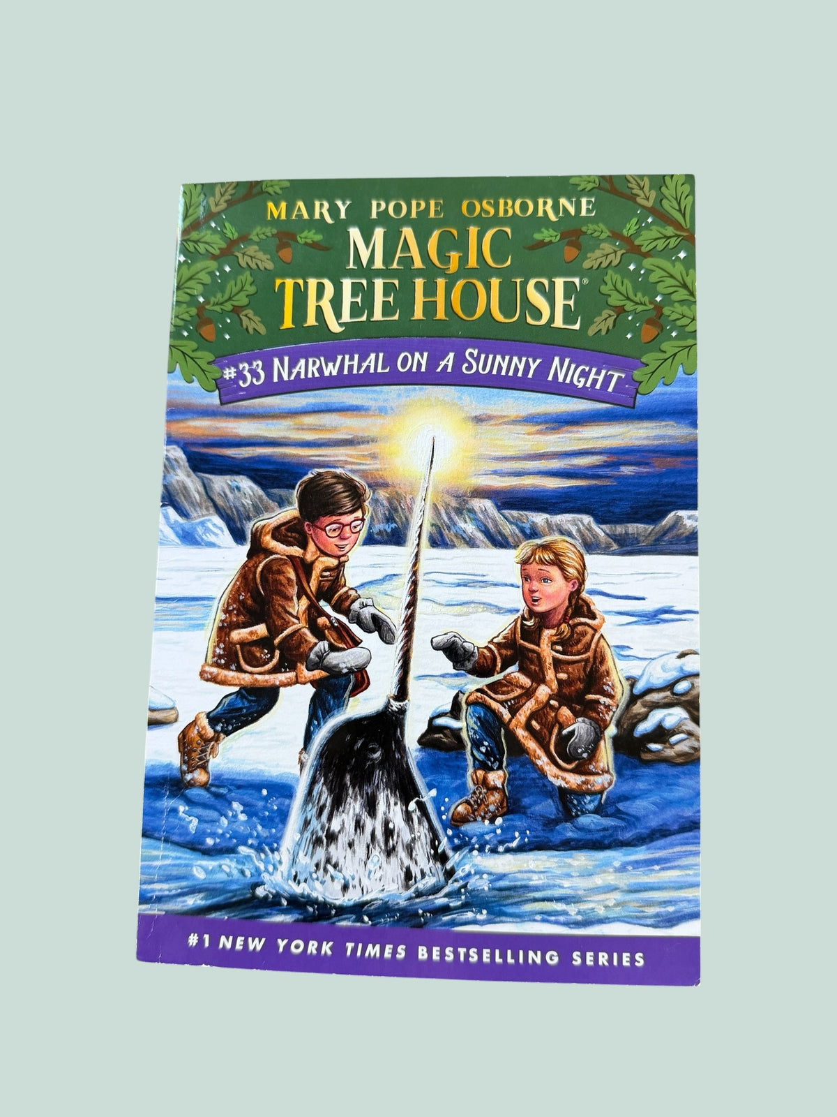 Magic Tree House - various titles