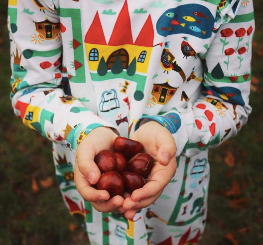 Organic cotton royal ribbit onesie dress 9-18m | Raspberry Republic