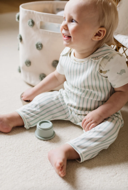 Organic cotton striped overall 0-3m | Pehr