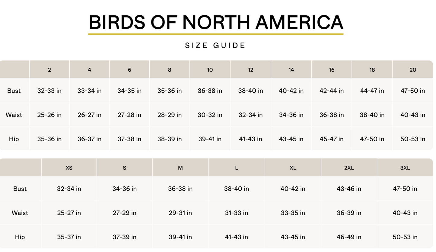 Teal linen dress 'Whistling Snipe' size 12 women's | Birds of North America NEW